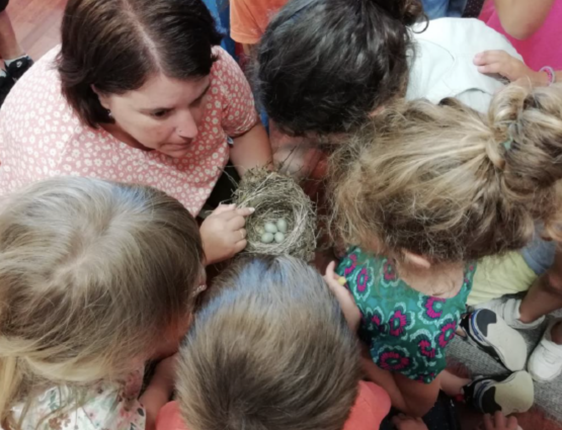 ESAT BRACONNAC CASTRES TARN